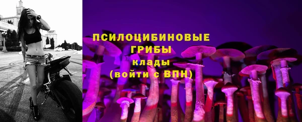 дурь Белокуриха