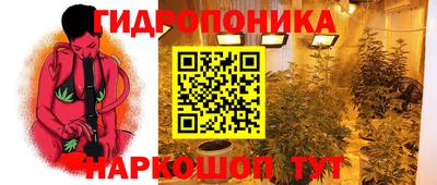 spice Донской