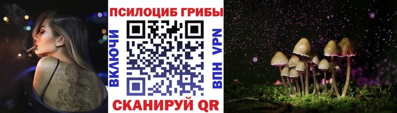 Галлюциногенные грибы Psilocybine cubensis  Гай 